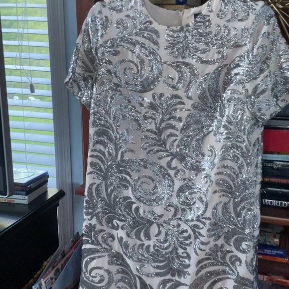 Ivory & Silver Shift Dress - Picture 8 of 15